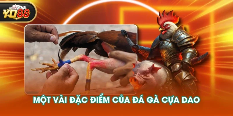 Một vài đặc điểm của đá gà cựa dao