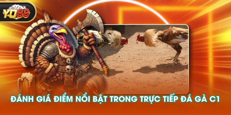Đánh giá điểm nổi bật trong trực tiếp đá gà C1