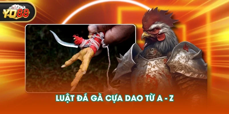 Luật đá gà cựa dao từ A - Z