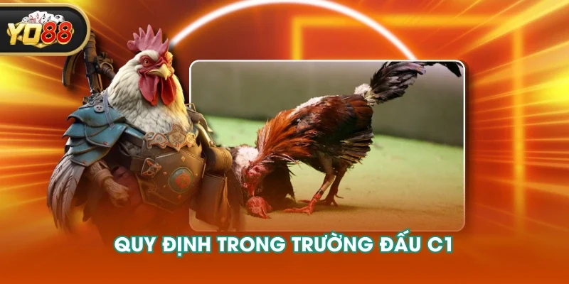 Quy định trong trường đấu C1